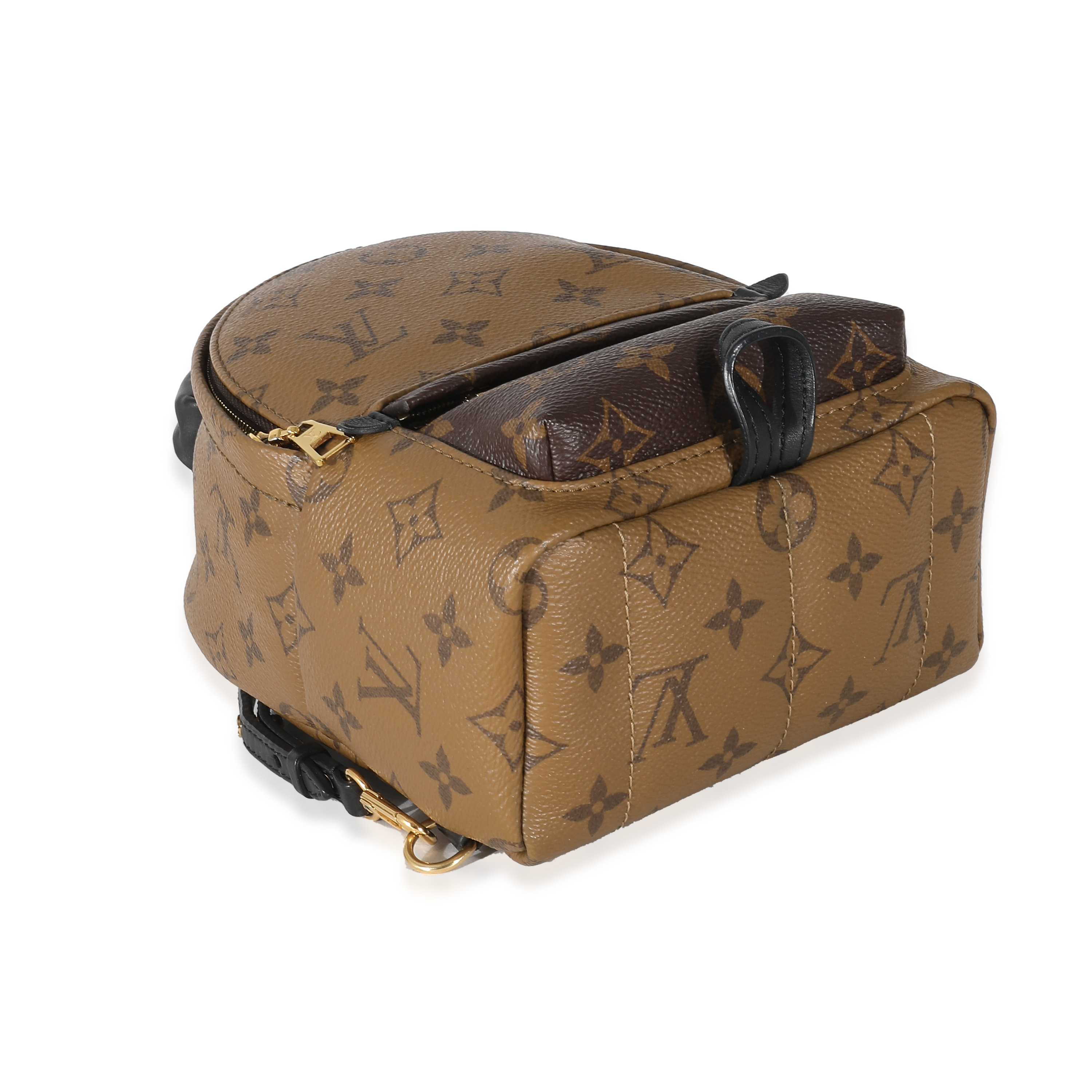 Louis Vuitton Reverse Monogram Canvas Mini Palm Springs-7