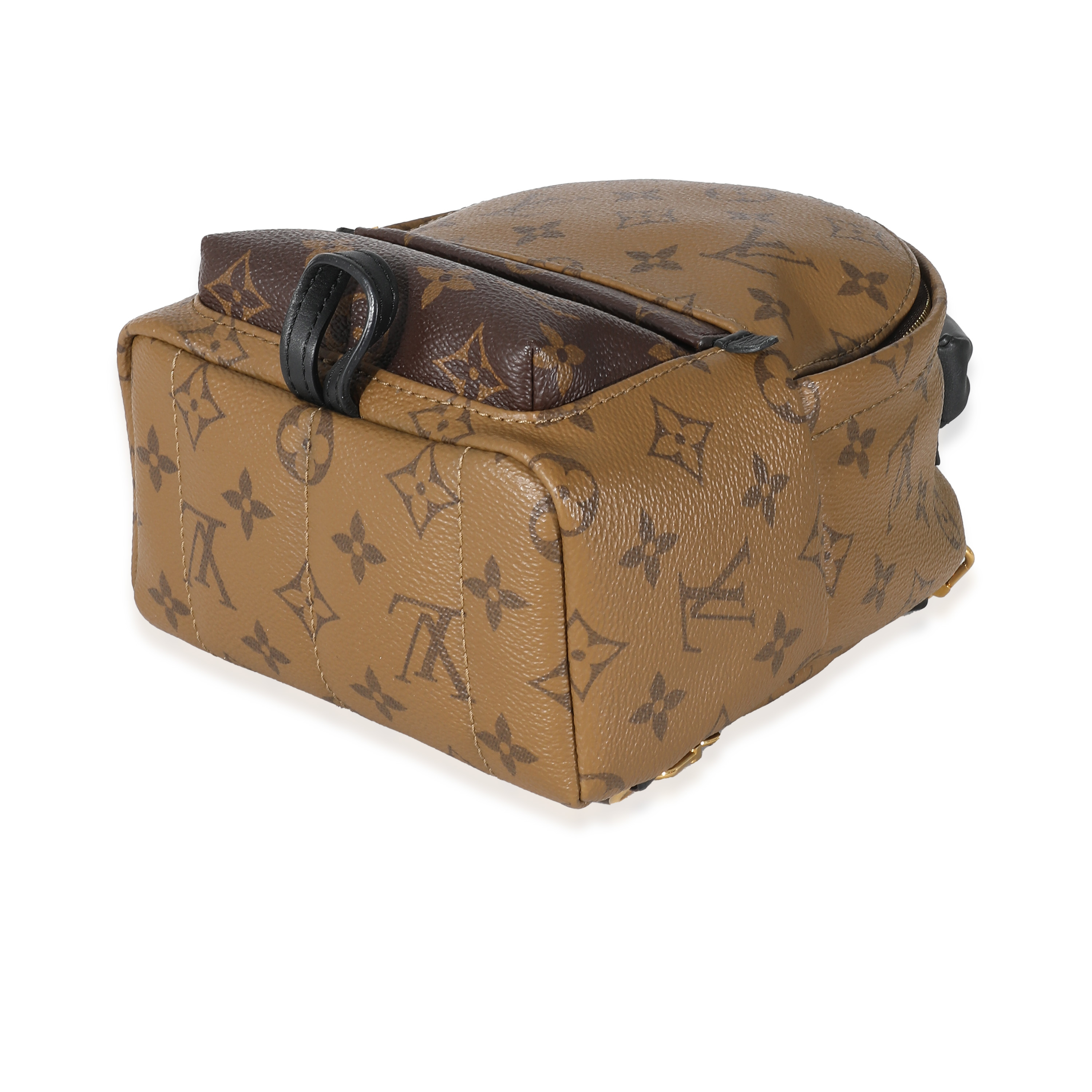 Louis Vuitton Reverse Monogram Canvas Mini Palm Springs-6