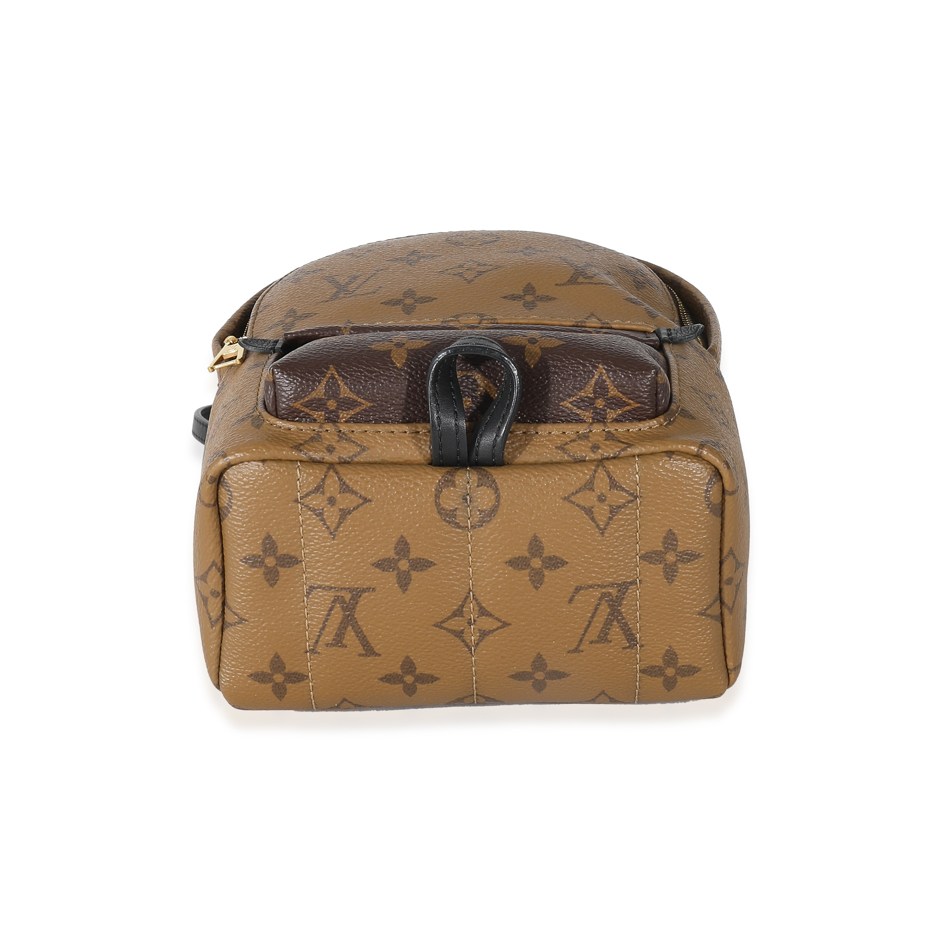 Louis Vuitton Reverse Monogram Canvas Mini Palm Springs-3