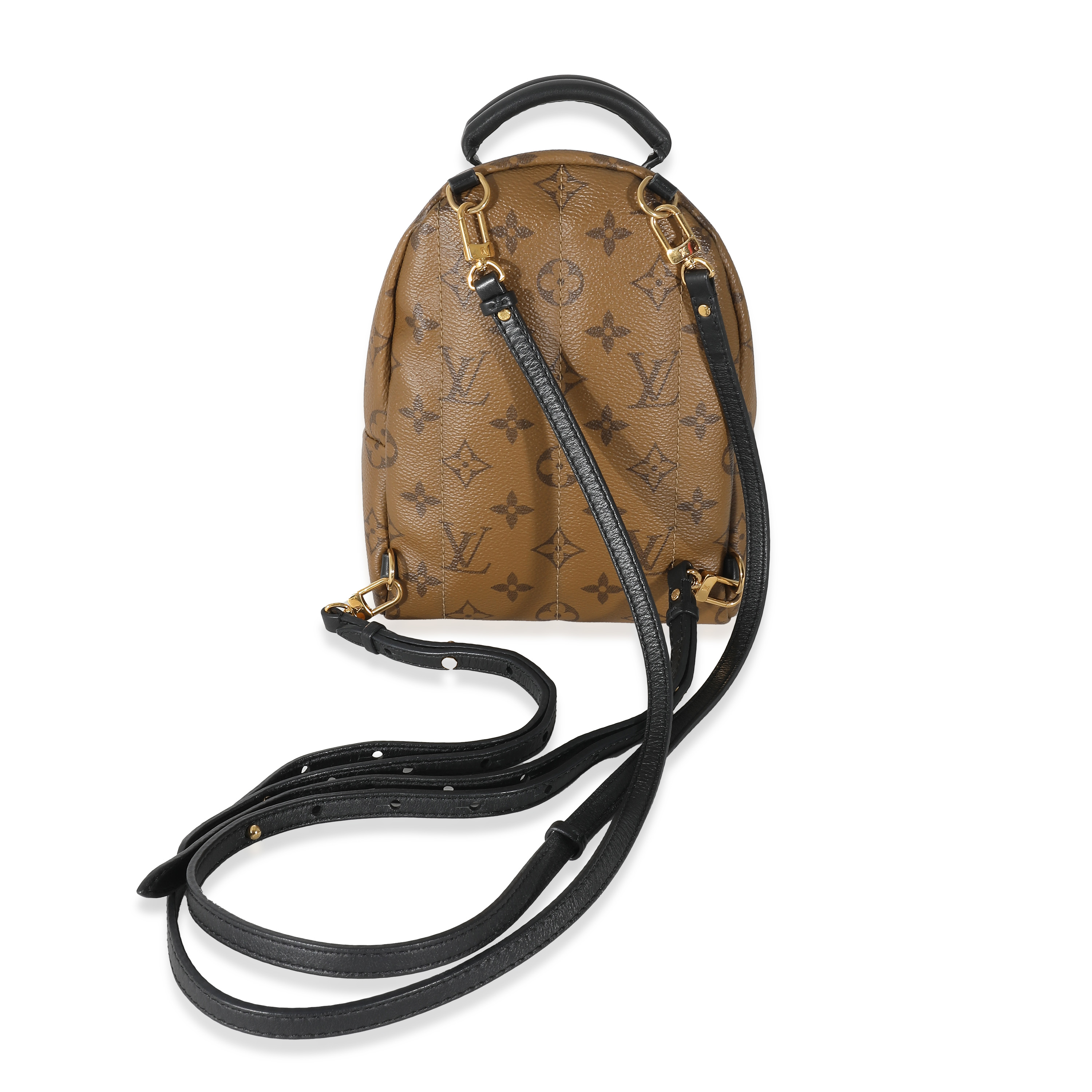 Louis Vuitton Reverse Monogram Canvas Mini Palm Springs-5