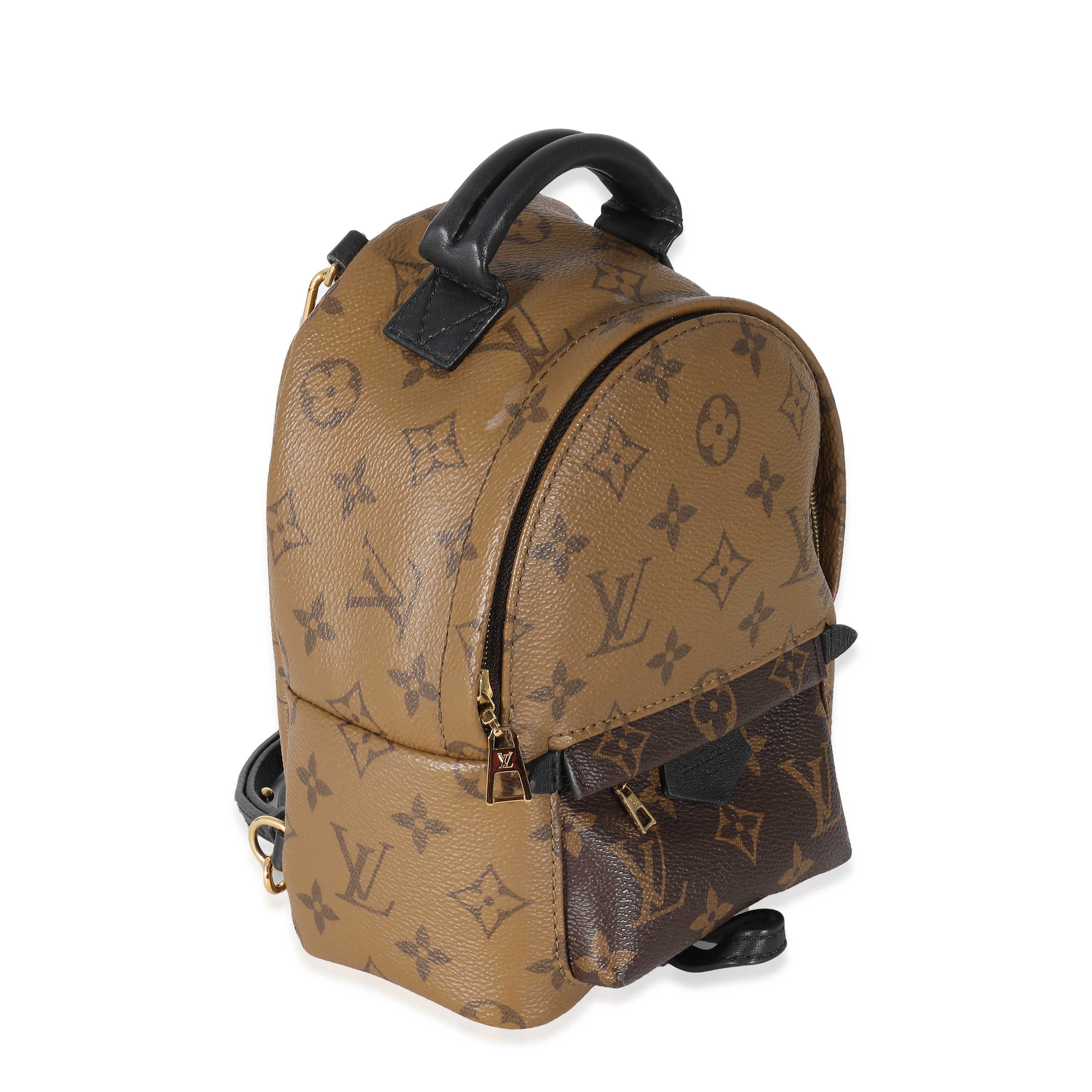 Louis Vuitton Reverse Monogram Canvas Mini Palm Springs-4