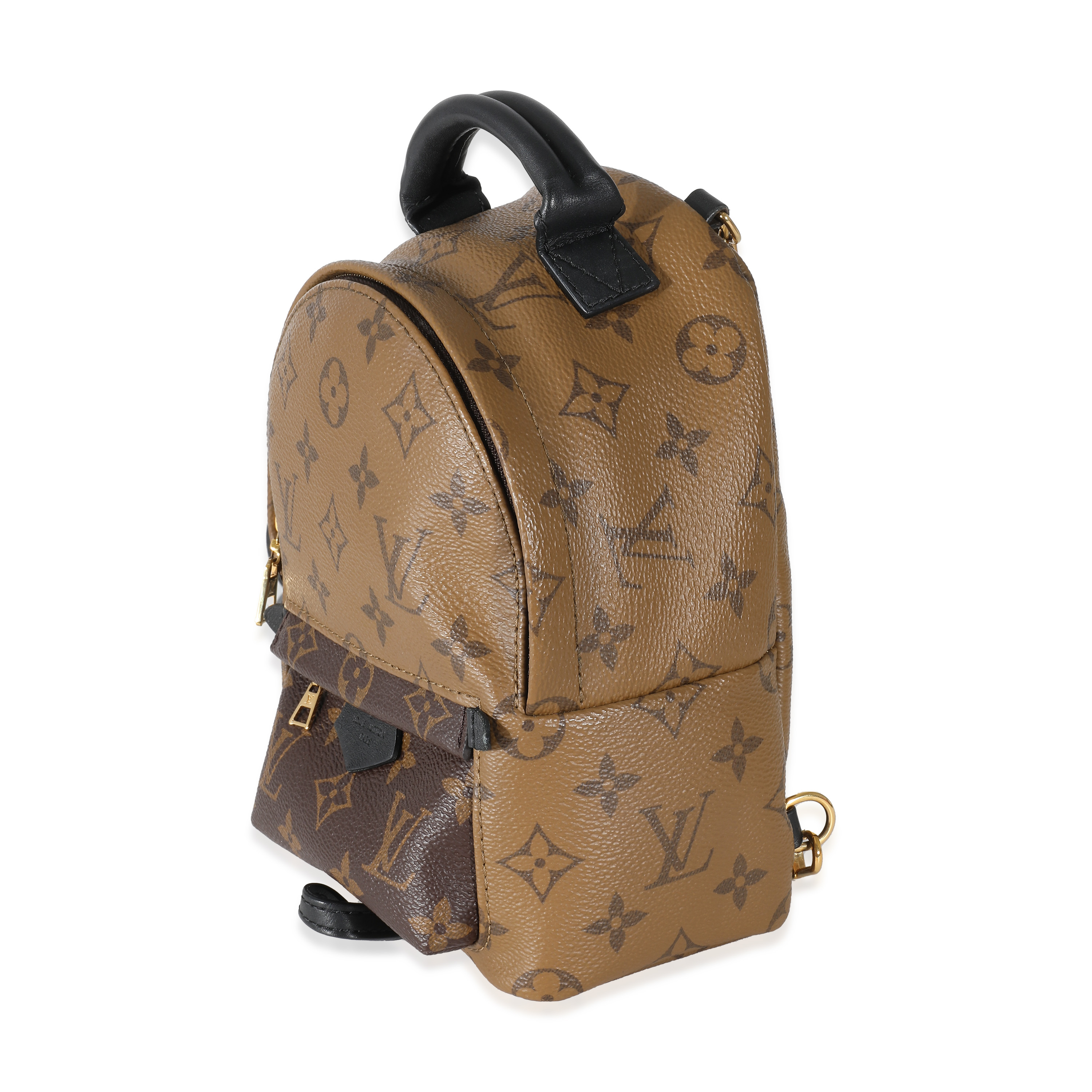 Louis Vuitton Reverse Monogram Canvas Mini Palm Springs-1